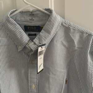 Polo Collard Dress Shirt